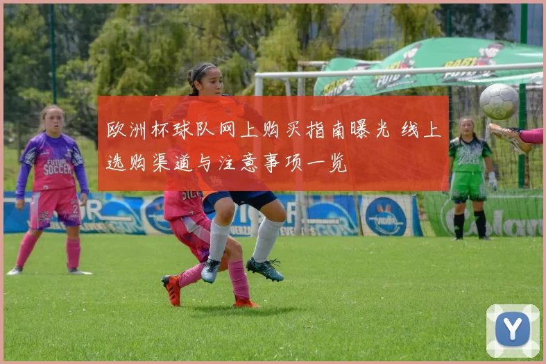 欧洲杯球队网上购买指南曝光 线上选购渠道与注意事项一览