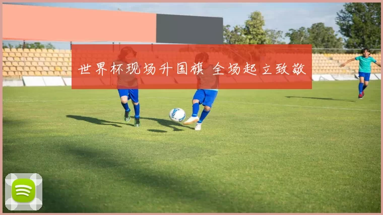 世界杯现场升国旗 全场起立致敬