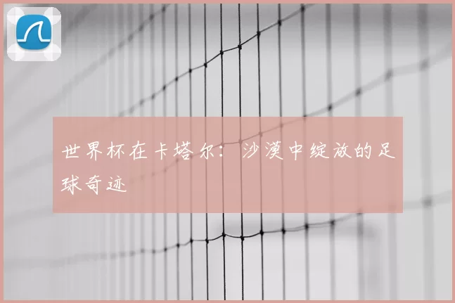 世界杯在卡塔尔:沙漠中绽放的足球奇迹