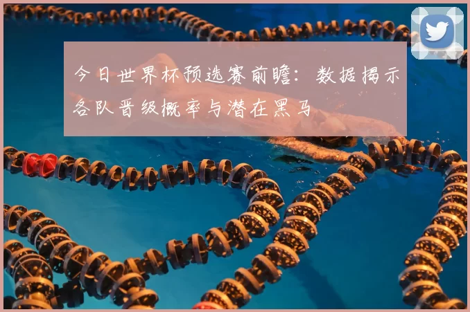 今日世界杯预选赛前瞻：数据揭示各队晋级概率与潜在黑马