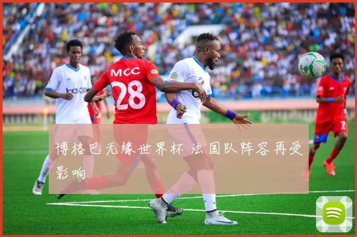 博格巴无缘世界杯 法国队阵容再受影响