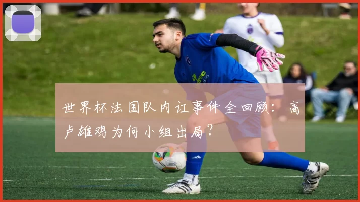 世界杯法国队内讧事件全回顾:高卢雄鸡为何小组出局?