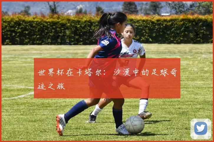世界杯在卡塔尔：沙漠中的足球奇迹之旅
