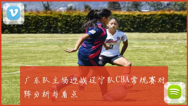 广东队主场迎战辽宁队CBA常规赛对阵分析与看点