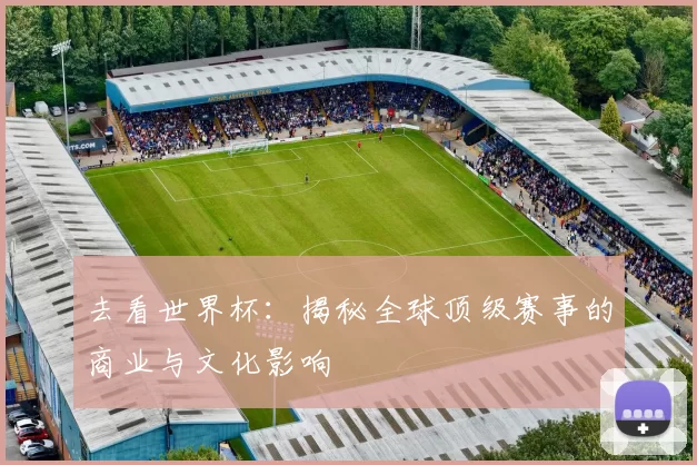 去看世界杯:揭秘全球顶级赛事的商业与文化影响