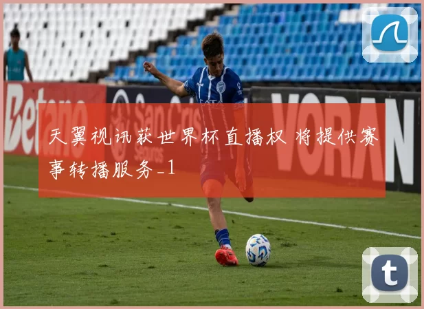 天翼视讯获世界杯直播权 将提供赛事转播服务_1
