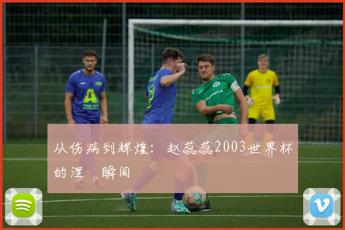 从伤病到辉煌:赵蕊蕊2003世界杯的涅槃瞬间