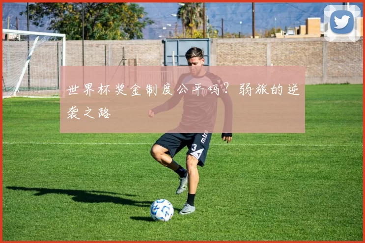 世界杯奖金制度公平吗？弱旅的逆袭之路